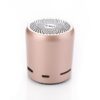 EWA Bluetooth Speaker IP67 Waterproof Mini Wireless Portable Speakers A106Pro Column with Case Bass Radiator for Outdoors Home