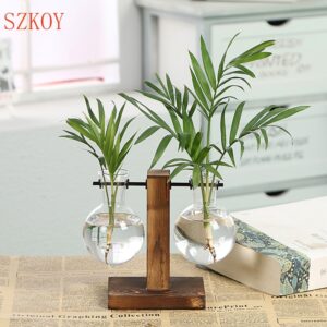 Hydroponic Vase Vintage Desktop Plant Terrarium Planter Bulb Glass Vase Water Planting Propagation Stations Home Decoration