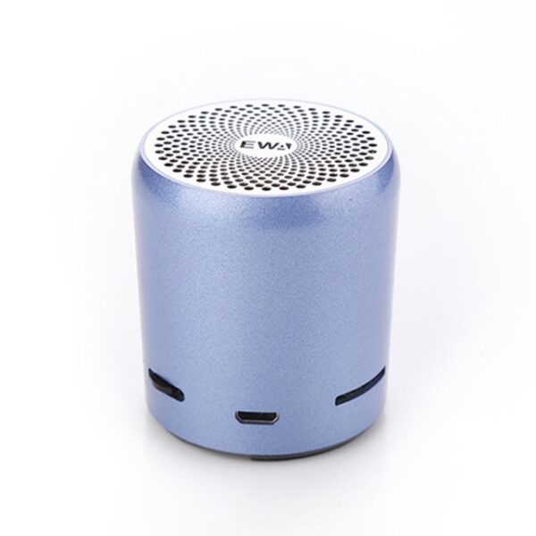 EWA Bluetooth Speaker IP67 Waterproof Mini Wireless Portable Speakers A106Pro Column with Case Bass Radiator for Outdoors Home