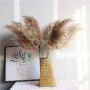 8Pcs &20Pcs Free Shipping Dried Pampas Grass Decor Wedding Flower Bunch Natural Plants for Home Christmas Decorations 2021
