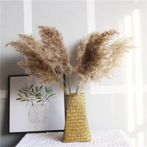 8Pcs &20Pcs Free Shipping Dried Pampas Grass Decor Wedding Flower Bunch Natural Plants for Home Christmas Decorations 2021