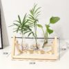 Hydroponic Vase Vintage Desktop Plant Terrarium Planter Bulb Glass Vase Water Planting Propagation Stations Home Decoration