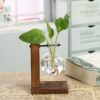 Hydroponic Vase Vintage Desktop Plant Terrarium Planter Bulb Glass Vase Water Planting Propagation Stations Home Decoration