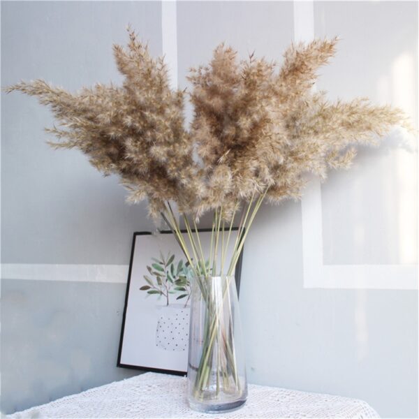 8Pcs &20Pcs Free Shipping Dried Pampas Grass Decor Wedding Flower Bunch Natural Plants for Home Christmas Decorations 2021