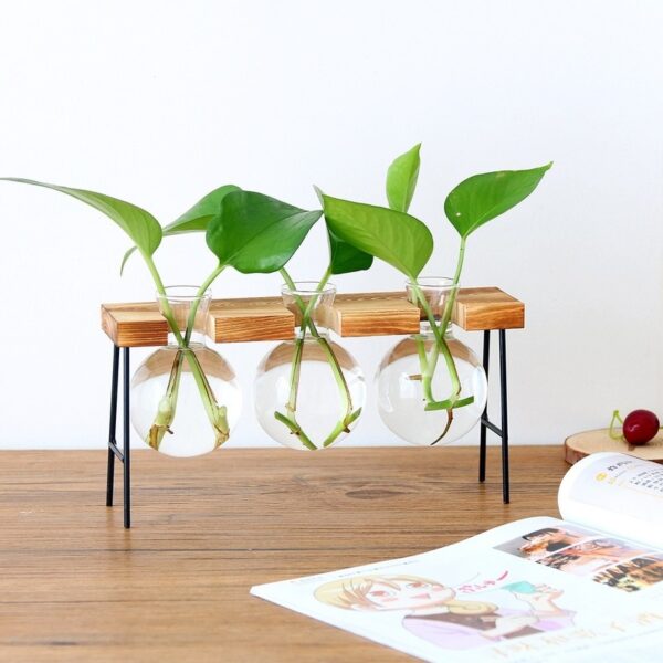 Hydroponic Vase Vintage Desktop Plant Terrarium Planter Bulb Glass Vase Water Planting Propagation Stations Home Decoration