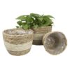3Pcs Woven Flower Pot Cover Equipped With Internal Plastic Lining Durable Natural Flower Pot Planter Decoration
