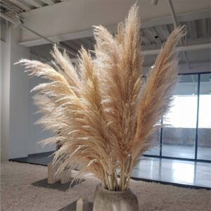 6pcs Wedding Flowers Pampas Grass Large Size Fluffy for Home Christmas Decor Natural Plants White Dried Flower Home Decor New