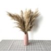 pampas grass decor plants home wedding decor dried flowers bunch feather flowers natural phragmites tall 20-22'' plastic vase