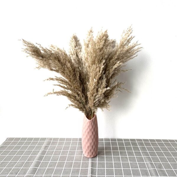 pampas grass decor plants home wedding decor dried flowers bunch feather flowers natural phragmites tall 20-22'' plastic vase