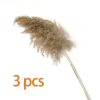 pampas grass decor plants home wedding decor dried flowers bunch feather flowers natural phragmites tall 20-22'' plastic vase