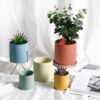 Nordic Industrial Style Colorful Ceramic Flowerpot Succulent Planter Green Plants Cylindrical Shape Flower Pot With Hole Tray