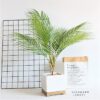 60-88 CM Real Touch Artificial Tree Palm Leaf Plastic Feel Plants Garden Home Decorations Scutellaria Tropical Fake Plants