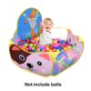 Kids Play House Indoor Outdoor Ocean Ball Pool Pit Game Tent Play Hut Easy Folding Girls Garden Kids Children Toy Tent Dropship