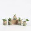 5Pcs/Set Ceramic Owl Shape Garden Flower Pot Desk Plant Pot Creative Design Succulent Planter Pot Home Garden Decoration outdoor