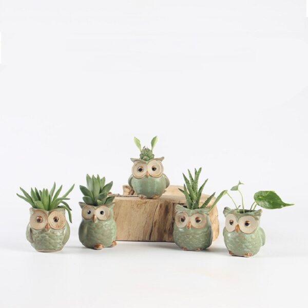 5Pcs/Set Ceramic Owl Shape Garden Flower Pot Desk Plant Pot Creative Design Succulent Planter Pot Home Garden Decoration outdoor