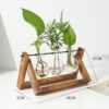 Hydroponic Vase Vintage Desktop Plant Terrarium Planter Bulb Glass Vase Water Planting Propagation Stations Home Decoration