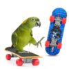 1Set Of Training Pet Bird Toy Set Interactive Parrot Equipment Set Funny Bird Activity Parrot Toy Pet Bird Basketball Skateboard