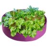 Fabric Raised Garden Bed 50 Gallons Round Planting Container Grow Bags Breathable Felt Fabric Planter Pot for Plants Nursery Pot