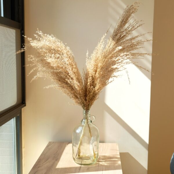 pampas grass decor plants home wedding decor dried flowers bunch feather flowers natural phragmites tall 20-22'' plastic vase