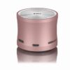 EWA Bluetooth Speaker IP67 Waterproof Mini Wireless Portable Speakers A106Pro Column with Case Bass Radiator for Outdoors Home