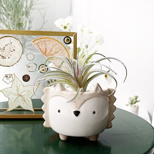 Strongwell Succulent Ceramic Flowerpot Hedgehog Puppy Cute Animal Flower Pot Creative Mini Garden Bedroom Desktop Birthday Gift