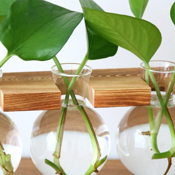 Hydroponic Vase Vintage Desktop Plant Terrarium Planter Bulb Glass Vase Water Planting Propagation Stations Home Decoration