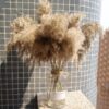8Pcs &20Pcs Free Shipping Dried Pampas Grass Decor Wedding Flower Bunch Natural Plants for Home Christmas Decorations 2021