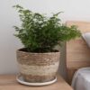 3Pcs Woven Flower Pot Cover Equipped With Internal Plastic Lining Durable Natural Flower Pot Planter Decoration