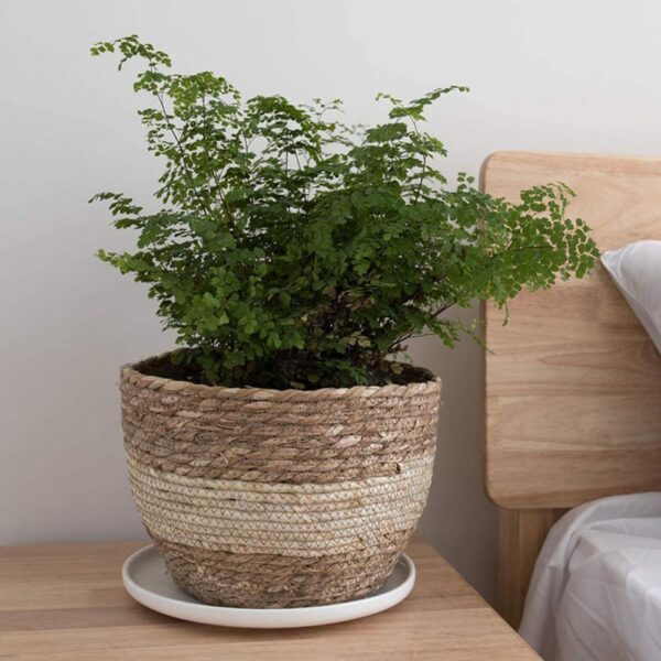 3Pcs Woven Flower Pot Cover Equipped With Internal Plastic Lining Durable Natural Flower Pot Planter Decoration