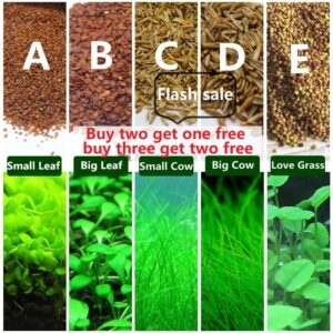 Aquarium plants,aquarium decoration,water grass, quickly landscaping aquatic plants ,aerobics for fish breeding,10g/pack [set]
